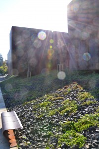 Le musée éclaboussé par le soleil